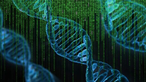 MIT開發(fā)DNA信息存儲技術(shù) 一小杯DNA可容納全球數(shù)據(jù)